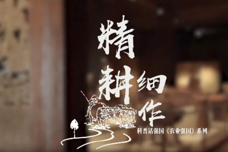Ԓ(qing)(gu)r(nng)I(y)(qing)(gu)ϵС(x)